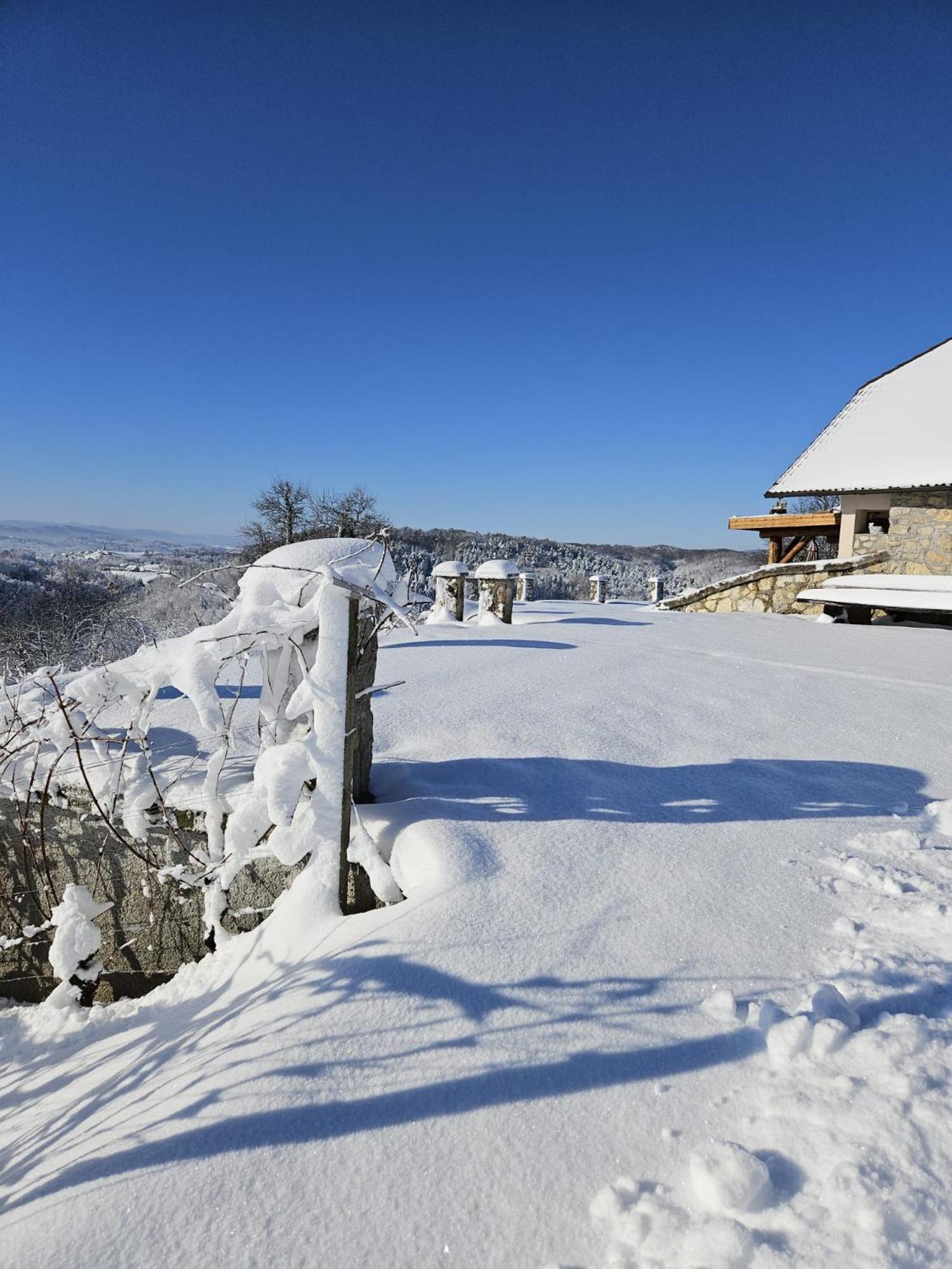 Zerko Holiday Home - Vineyard Chalet With Sauna And Jacuzzi Free Mirna Экстерьер фото