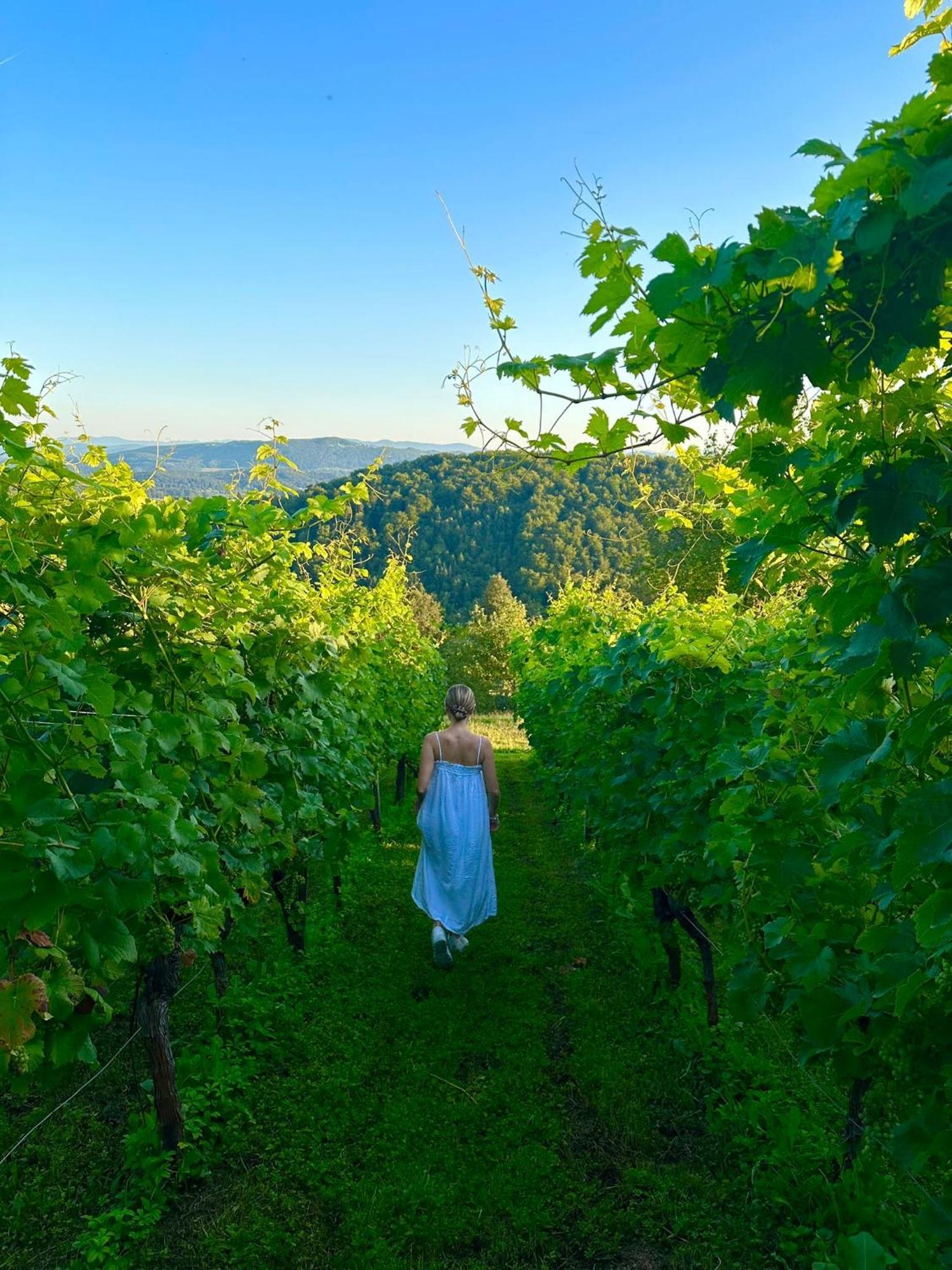 Zerko Holiday Home - Vineyard Chalet With Sauna And Jacuzzi Free Mirna Экстерьер фото